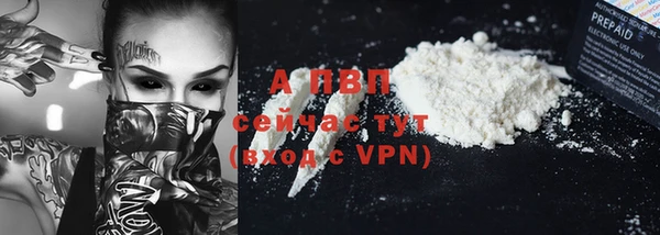 PSILOCYBIN Абаза