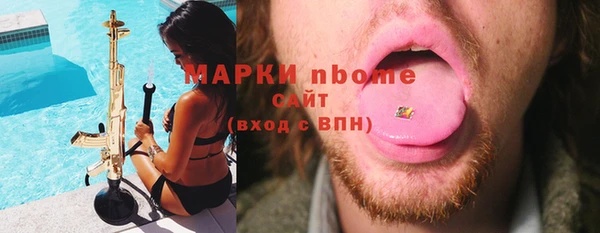 шишки Осинники