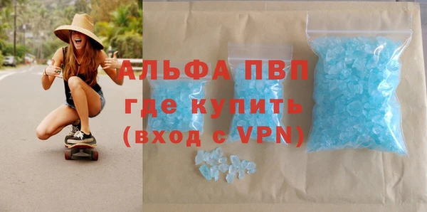 шишки Осинники