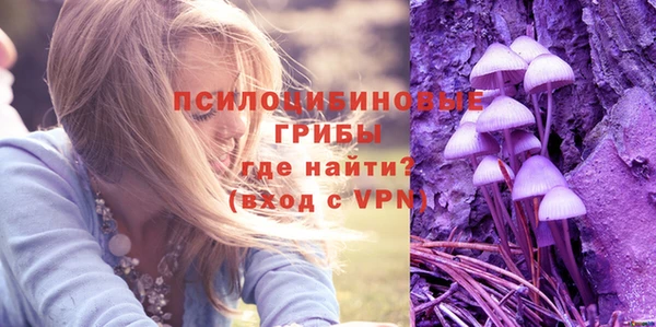 сатива Осташков