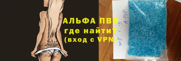 шишки Осинники