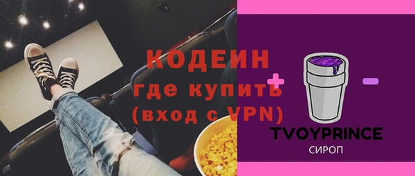 шишки Осинники