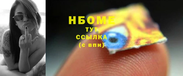 шишки Осинники