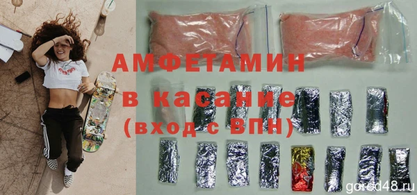 шишки Осинники