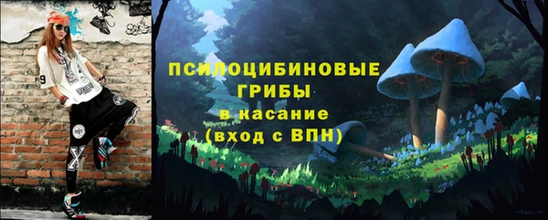 сатива Осташков