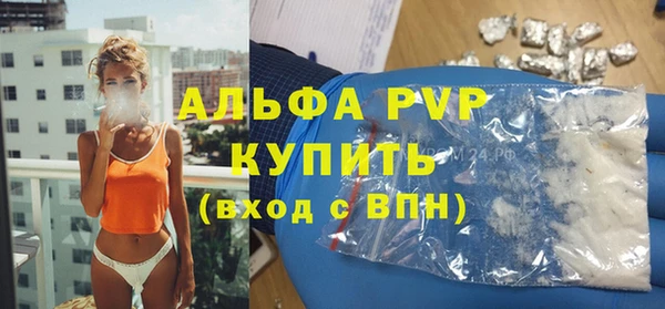 сатива Осташков