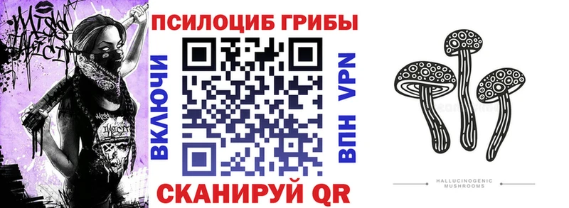 MEGA зеркало  Краснокамск  Галлюциногенные грибы Cubensis 