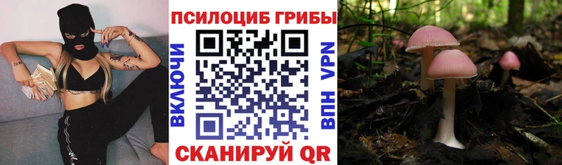 Псилоцибиновые грибы Psilocybine cubensis Краснокамск