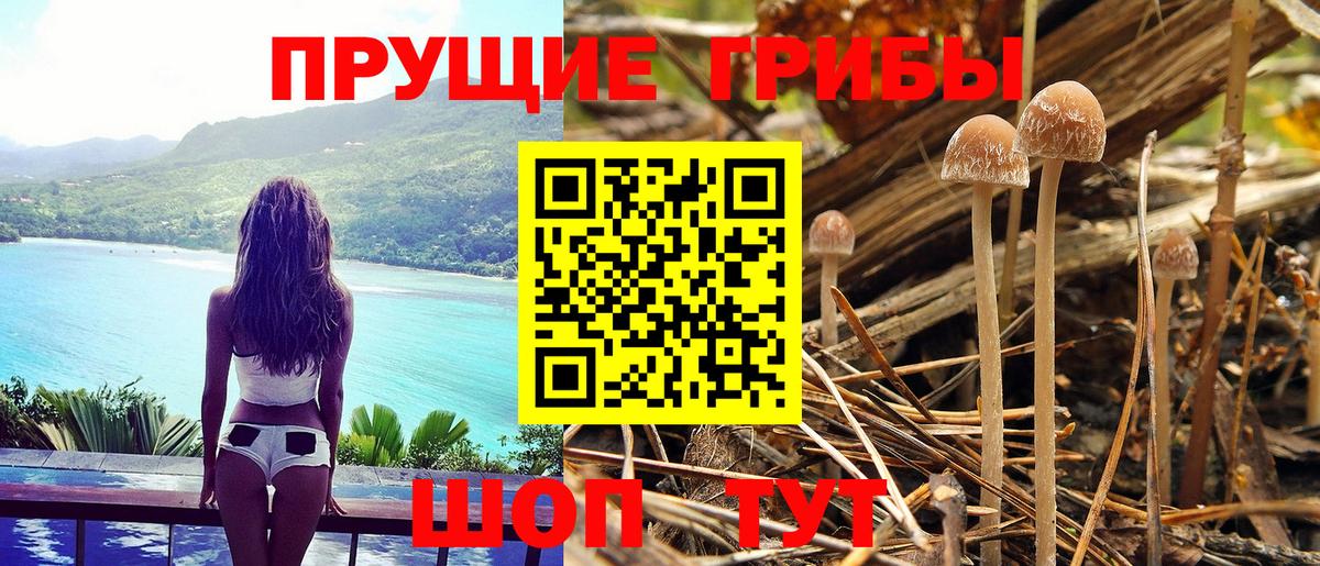Галлюциногенные грибы Magic Shrooms  Вход с VPN  Краснокамск  купить наркотик  Псилоцибиновые грибы прущие грибы 