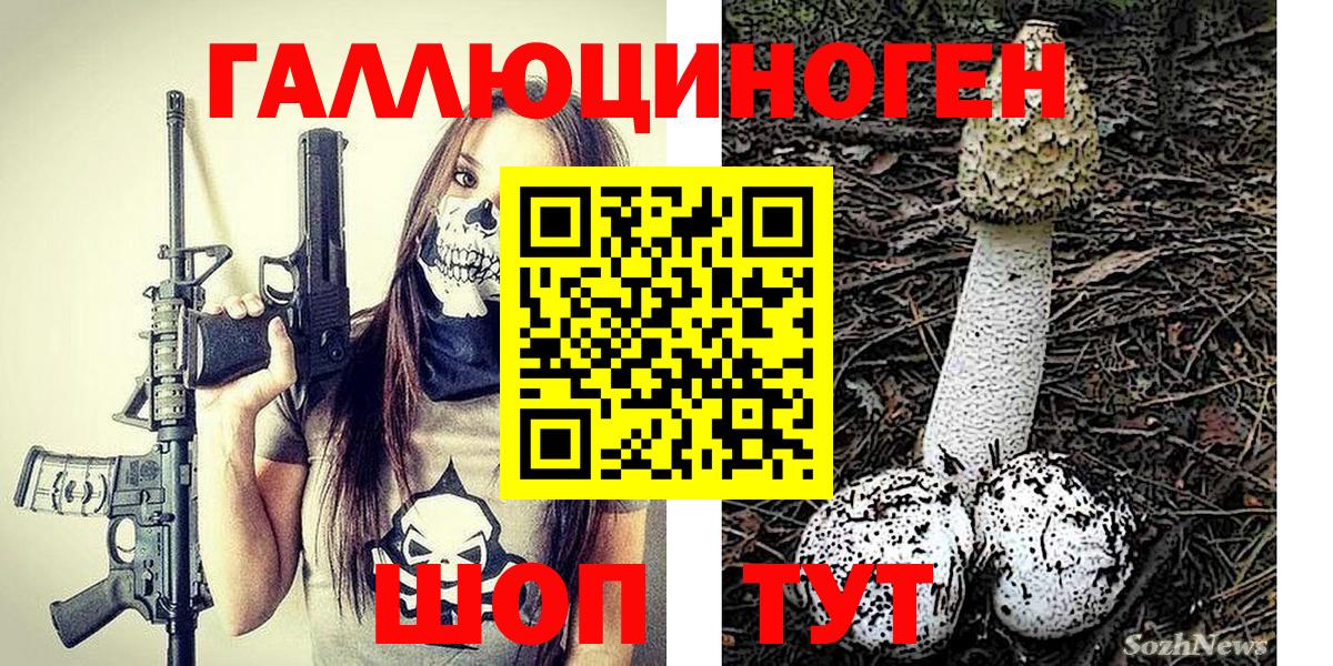 Псилоцибиновые грибы Psilocybine cubensis Краснокамск